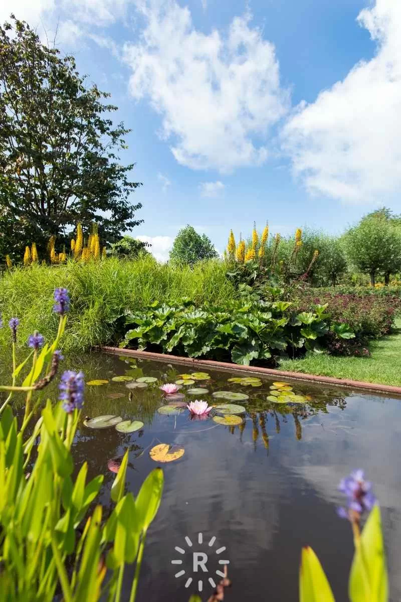 tuinontwerp