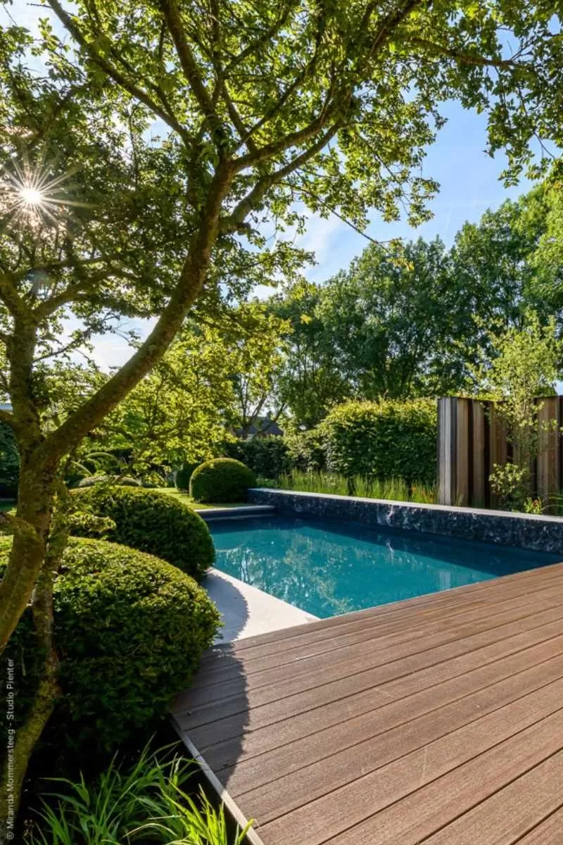 Strak zwembad met houten vlonder en vormsnoei in een architectonisch tuinontwerp